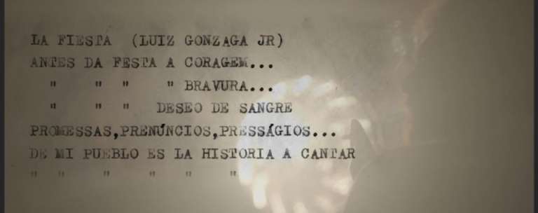 Promotional image for Gonzaguina, Freedom to Choose.